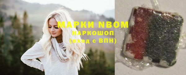 бошки Алексин