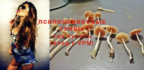 бошки Алексин