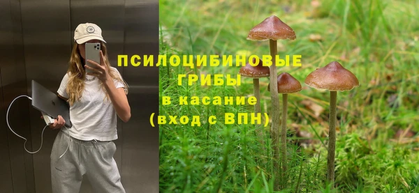 амф Алзамай