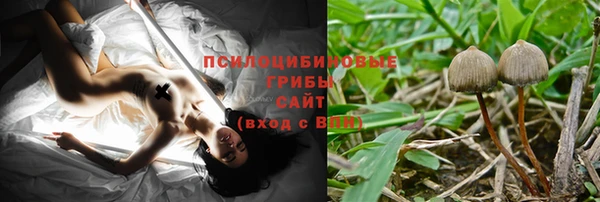 бошки Алексин