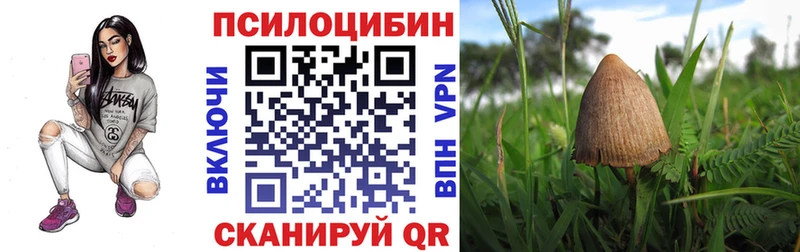 купить  цена  Ливны  Псилоцибиновые грибы прущие грибы 